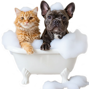 Grooming & Hygiene